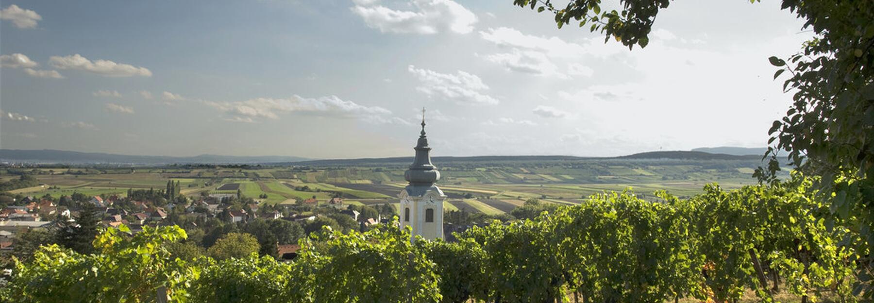 Weingarten Thermenregion