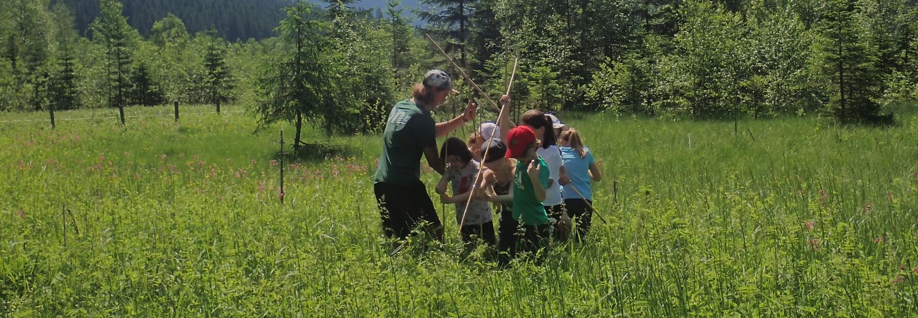 Kindergruppe beim Erforschen einer Feuchtwiese