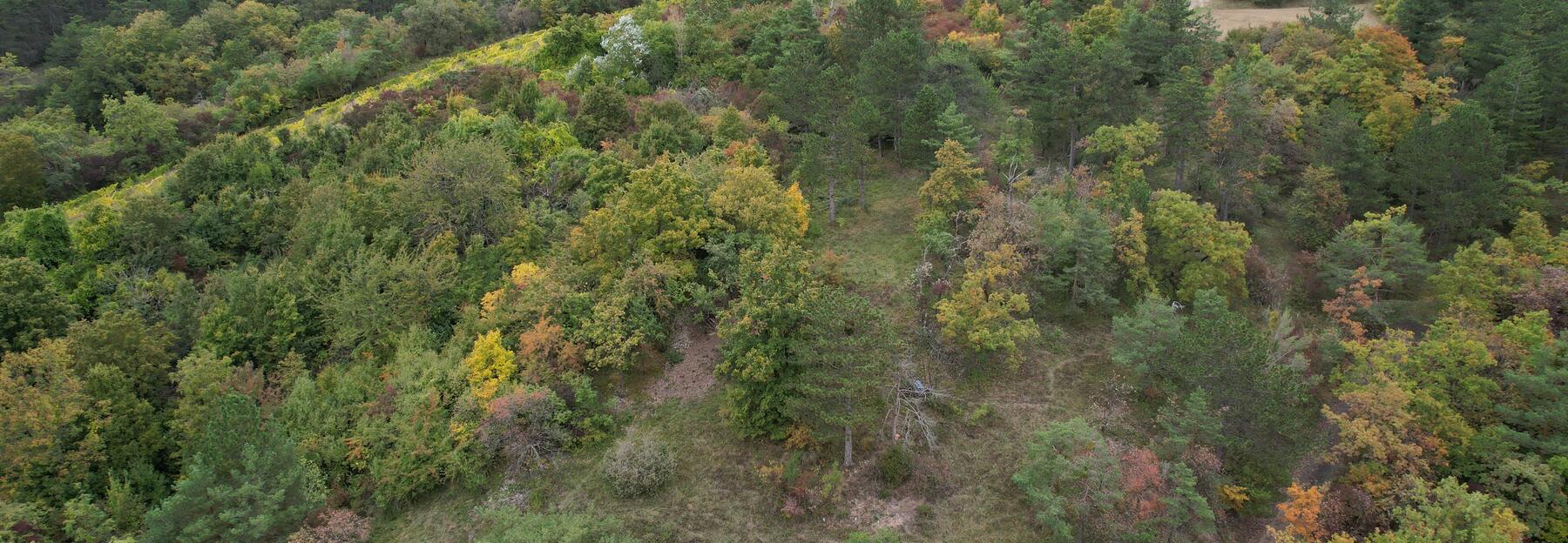 Trockenlebensräume am Spatzenberg