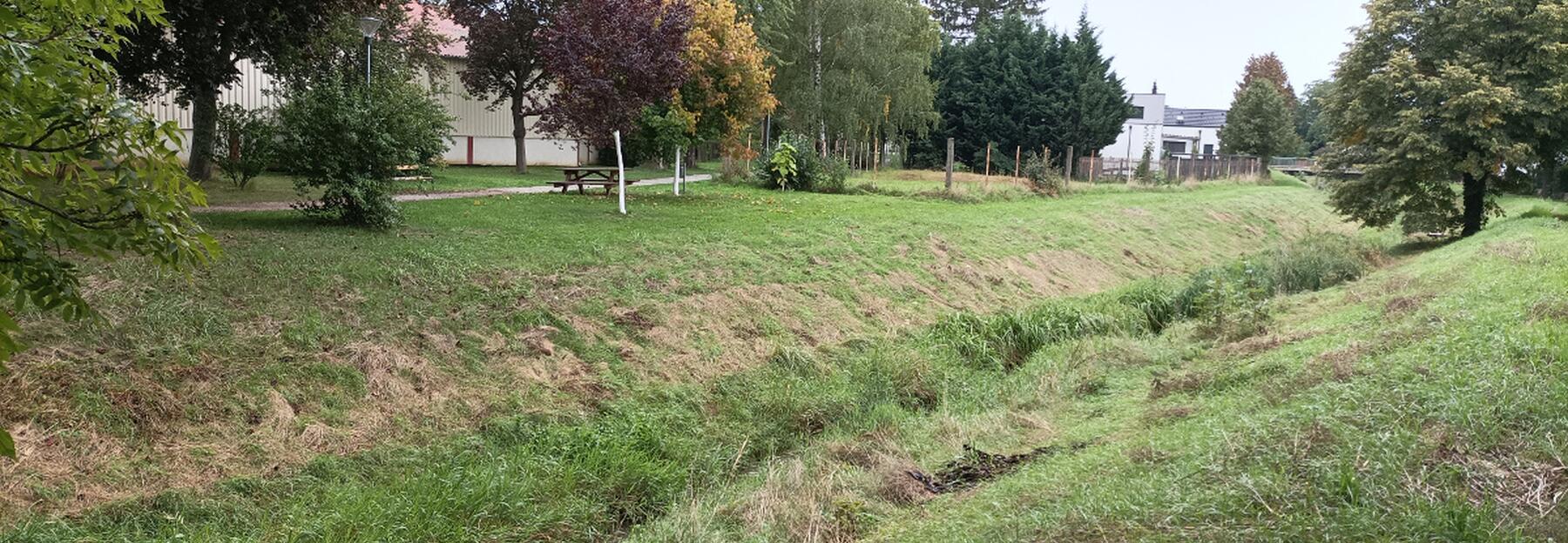 Wiesenböschung