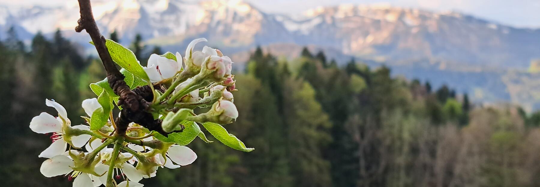 Naturpark Nagehlfluhkette