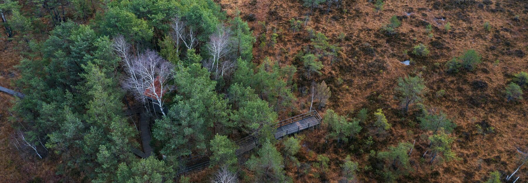 Ibmer moor aus der Luft