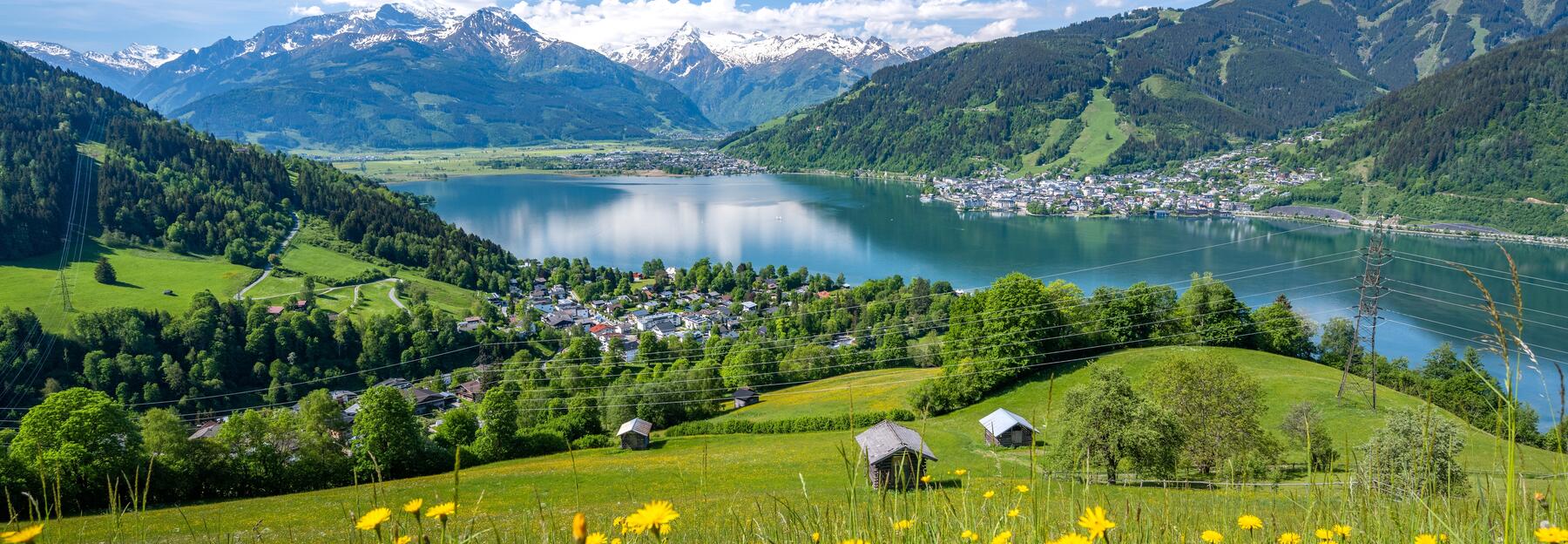 Wiese oberhalb von Zell am See
