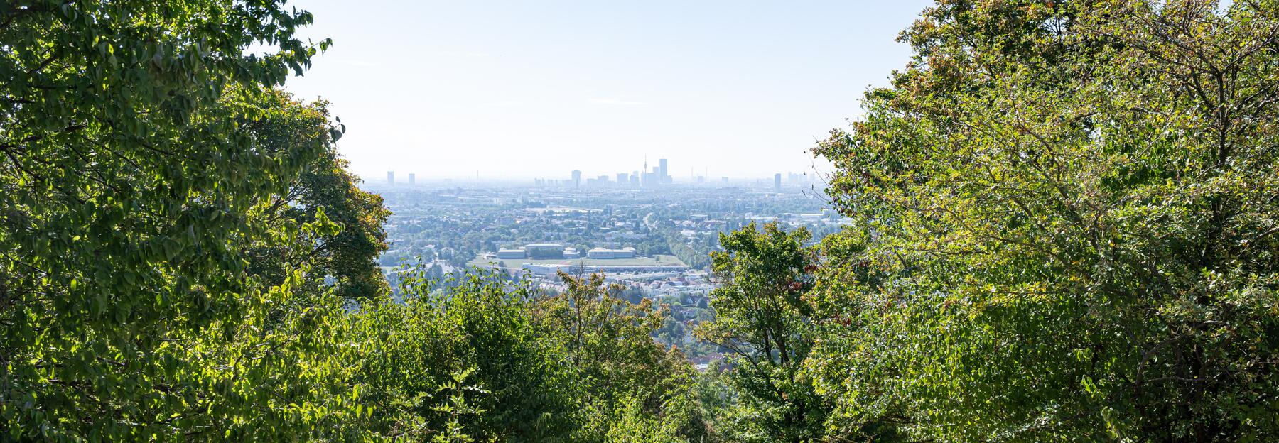 Blick vom Bisamberg Richtung Wien