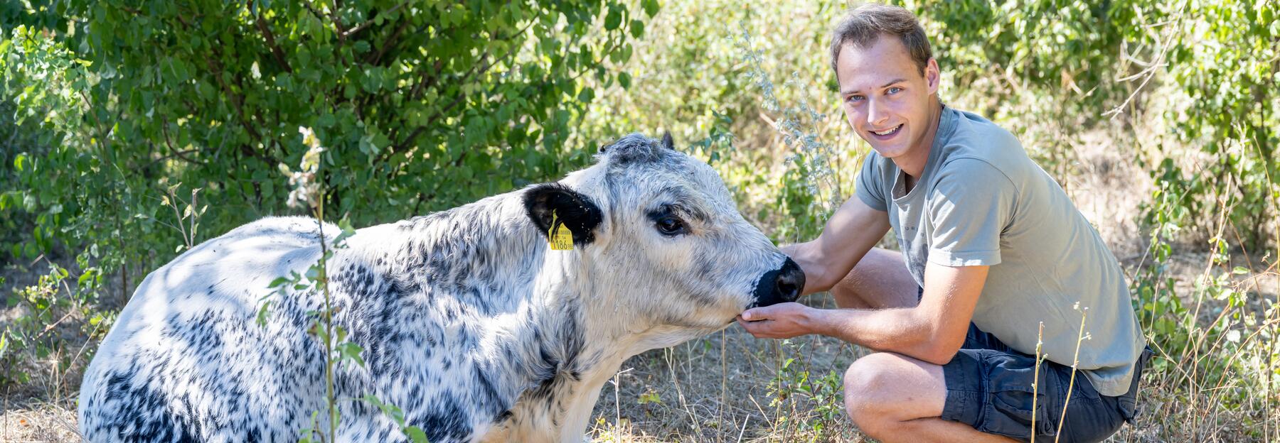 Markus Breyer bei den Stieren auf der Weide