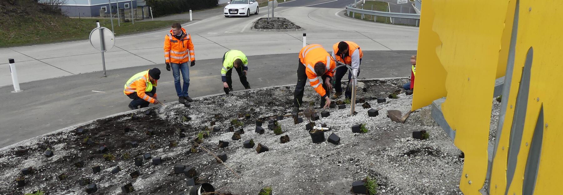 Gemeindemitarbeiter beim Pflanzen