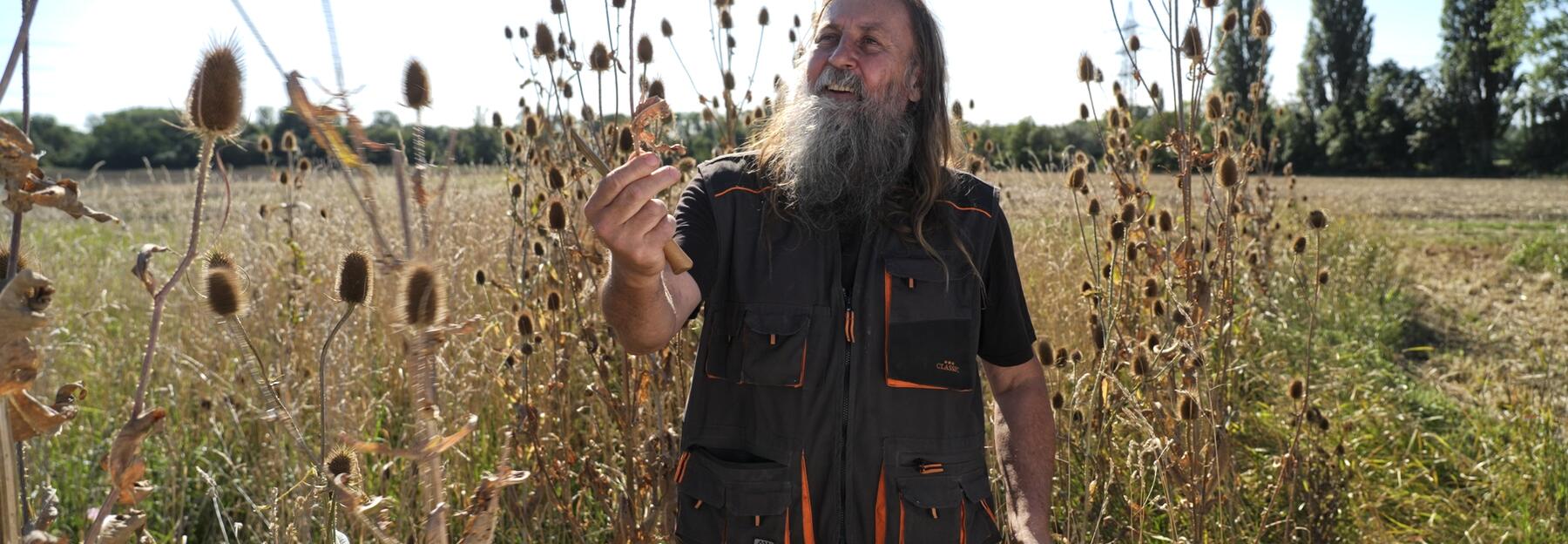 Mann im Wilde Karde Feld 