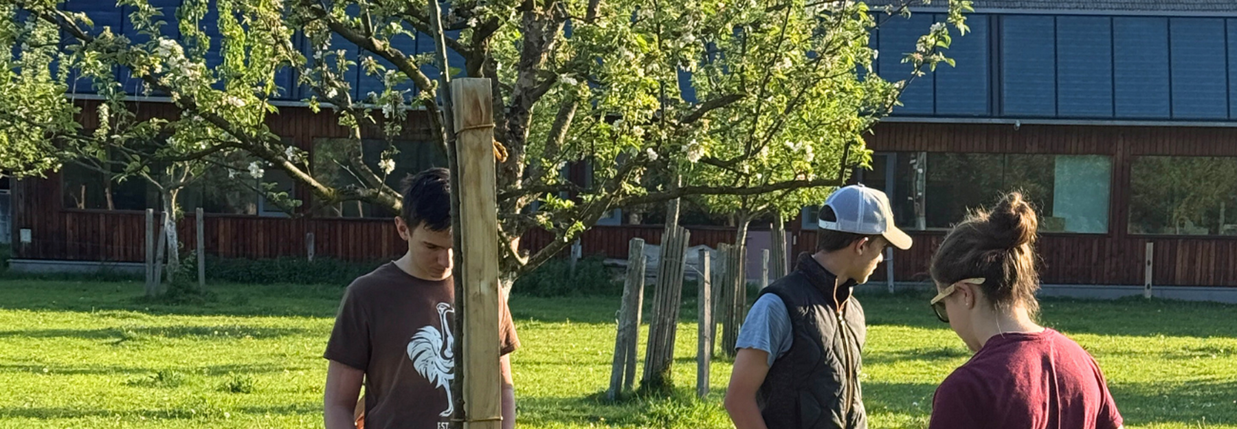 Streuobstwiese für Salzburg
