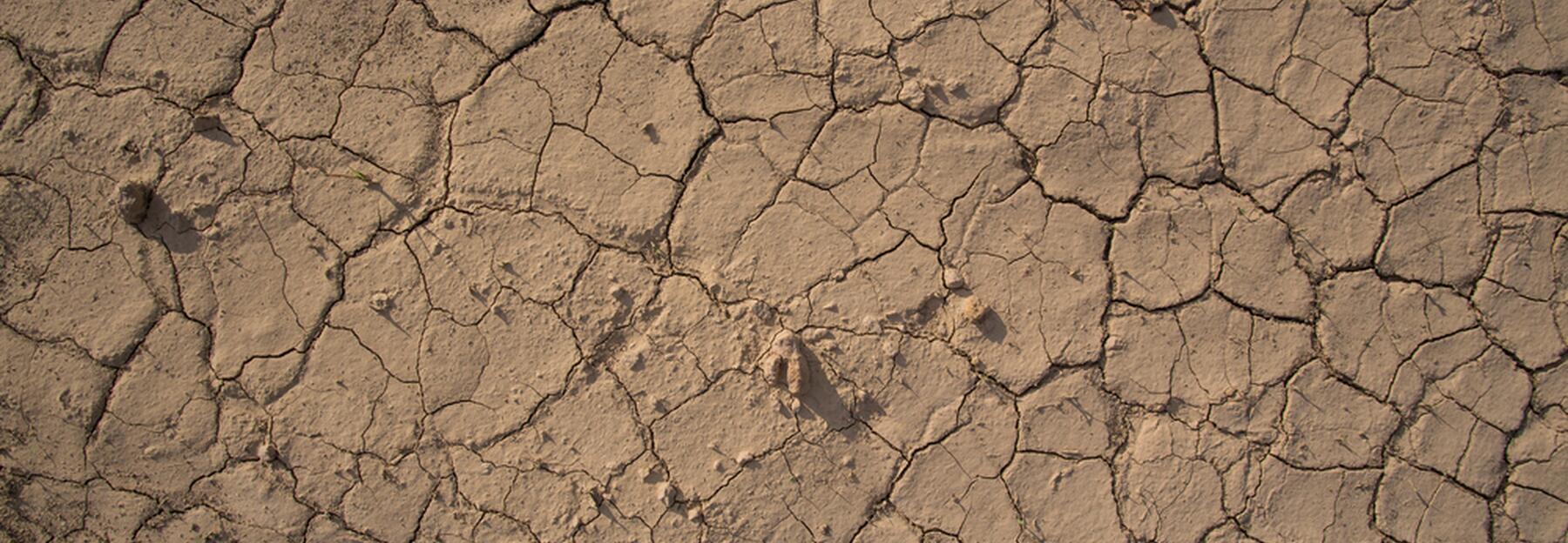 Trockenheit