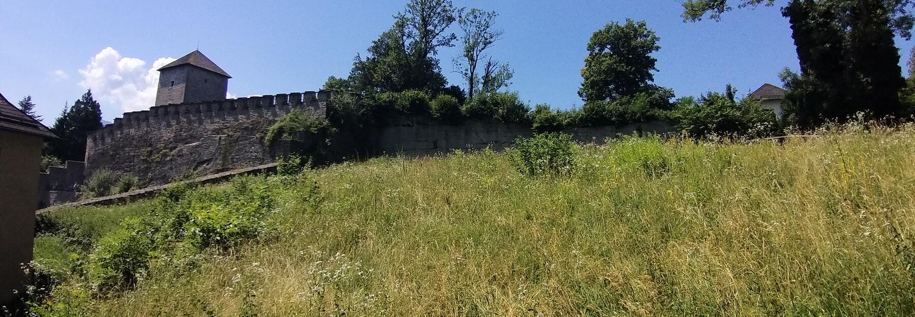 ungemähte Wiese unterhalb einer Burganlage