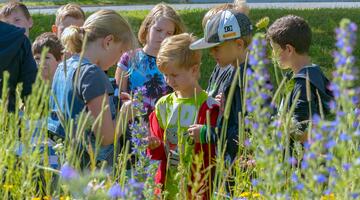 online woche der artenvielfalt_manfed digruber © c Manfred Digruber