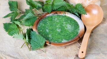 Brennnessel-Suppe © foodandwinephotography / Istock.com Brennnessel-Suppe