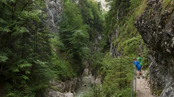 Tiefenbachklamm © Alpbach Seenland Tourismus Tiefenbachklamm