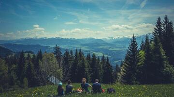 Wandern im Bergwald