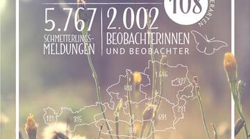 Schmetterling_Citizen-Science-Report Citizen Science Schmetterlinge