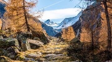 Schutzgebiete Klimawandel