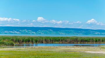 Neusiedlersee