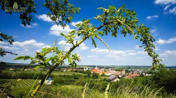 Naturschutz in der Gemeinde