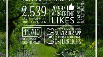 Schmetterlingsgarten Grafik © Blühendes Österreich Schmetterlingsgarten - Bericht