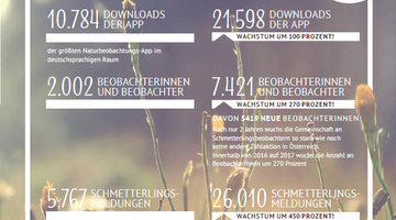 schmetterlingsapp 2017 1 © Blühendes Österreich App