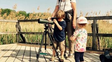 "Early Birdies". (c) Stephanie Fischer © "Early Birdies". (c) Stephanie Fischer