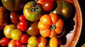 Tomaten (c) pixabay © Tomaten (c) pixabay
