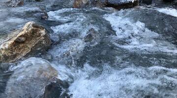 Die Lutz - ungezähmter Wildfluss im Winterkleid (c) Christina Schwann