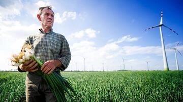 Bauer auf einem Jungzwiebel-Feld