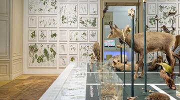 Universalmuseum Joanneum