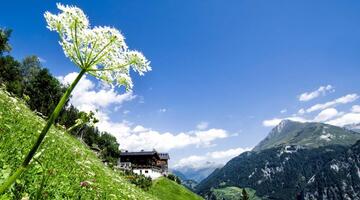 Panorama am Strumerhof