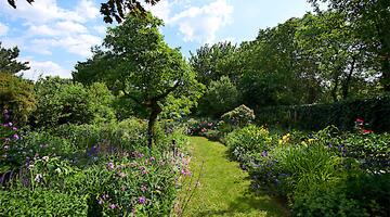 Schmetterlingsgarten © Alexander Haiden/Natur im Garten Schmetterlingsgarten