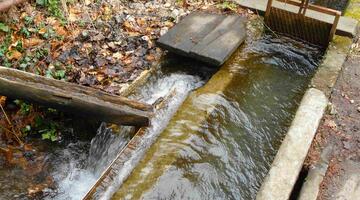 Waal: ein künstlich angelegter Bewässerungsgraben mit Schleuse