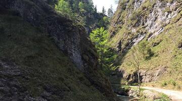 Bild der Spitzenbachklamm