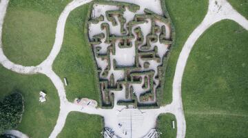 © Nationalpark Gesäuse / Stefan Leitner Fußabdruck beim Weidendom