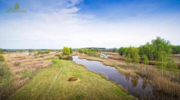 Moorlandschaft