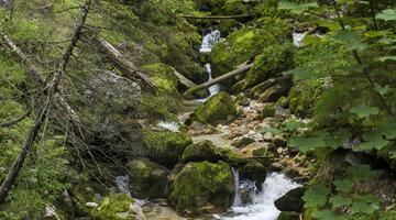 Hartelsgraben, Nationalpark Gesäuse © Uwe Grinzinger Hartelsgraben, Nationalpark Gesäuse