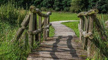 Brücke im Freien