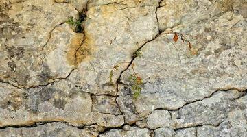 Auch in Felsritzen kann sich Permafrost bilden.
(c) pixabay © Auch in Felsritzen kann sich Permafrost bilden.
(c) pixabay