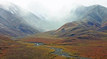 Tundra
(c) pixabay © Tundra
(c) pixabay