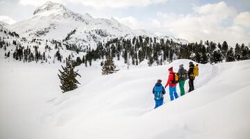 Bei Schneeschuhwanderungen im Nationalpark Hohe Tauern ist die Sichtung von Bartgeiern keine Seltenheit © MartinLugger89(3) Bei Schneeschuhwanderungen im Nationalpark Hohe Tauern ist die Sichtung von Bartgeiern keine Seltenheit