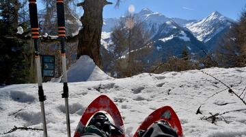 Mit den Schneeschuhen geht es kreuz und quer durchs Zedlacher Paradies © Katharina Kropshofer Mit den Schneeschuhen geht es kreuz und quer durchs Zedlacher Paradies
