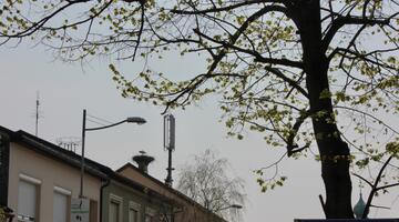 Schon am Hauptplatz erspähen wir die ersten Weißstörche in ihren Horsten (c) Kropshofer © Schon am Hauptplatz erspähen wir die ersten Weißstörche in ihren Horsten (c) Kropshofer