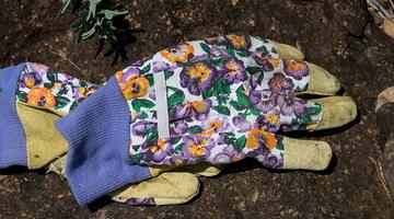 Tipps-fuer-den-gemeinsaftsgarten © sandid/Pixabay.com (CC0) Gartenhandschuhe