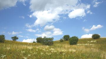 Perchtoldsdorfer Heide - Steppe am Stadtrand