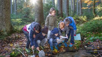 Kinder forschen im Wald