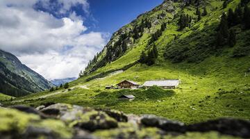 malerische Berglandschaft mit Almhütte