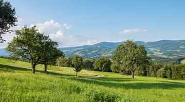 Landschaft im Naturpark Pöllauer Tal