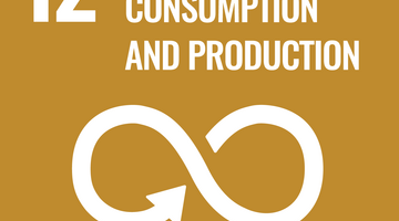 © United Nations Responsible consumption and production