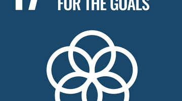 © United Nations Partnerships for the goals