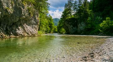 Idyllischer Flußlauf im Naturpark Mürzer Oberland
